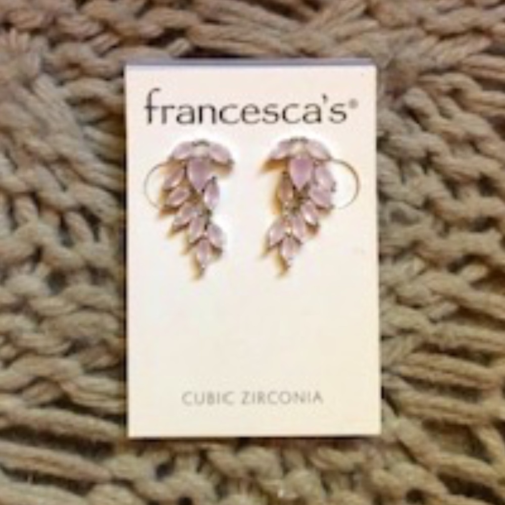 Francesca's Ear Crawler Earrings *NEW*